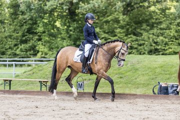 Bild 391 - Pony Akademie Turnier